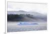 Bright blue iceberg from Mendenhall Glacier, surrounded by mist on Mendenhall Lake, Juneau, Alaska,-Eleanor Scriven-Framed Photographic Print