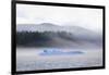 Bright blue iceberg from Mendenhall Glacier, surrounded by mist on Mendenhall Lake, Juneau, Alaska,-Eleanor Scriven-Framed Photographic Print