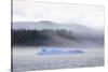 Bright blue iceberg from Mendenhall Glacier, surrounded by mist on Mendenhall Lake, Juneau, Alaska,-Eleanor Scriven-Stretched Canvas