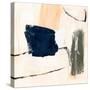 Bright Box I-Annie Warren-Stretched Canvas