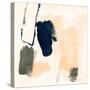 Bright Box II-Annie Warren-Stretched Canvas