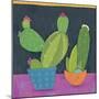 Bright Cactus 1-Holli Conger-Mounted Giclee Print