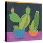 Bright Cactus 1-Holli Conger-Stretched Canvas
