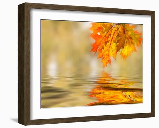 Bright Colored Leaves on the Branches in the Autumn Forest-Leonid Tit-Framed Photographic Print