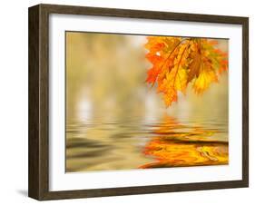 Bright Colored Leaves on the Branches in the Autumn Forest-Leonid Tit-Framed Photographic Print