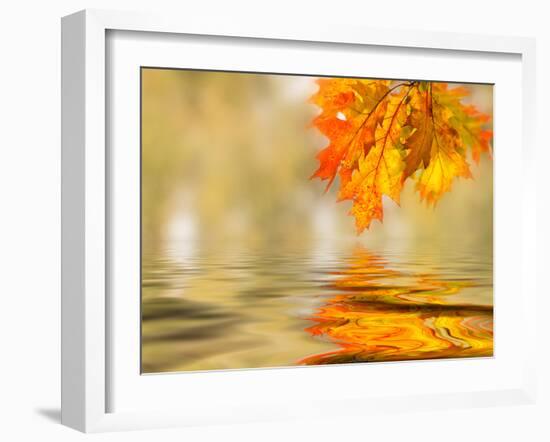 Bright Colored Leaves on the Branches in the Autumn Forest-Leonid Tit-Framed Photographic Print