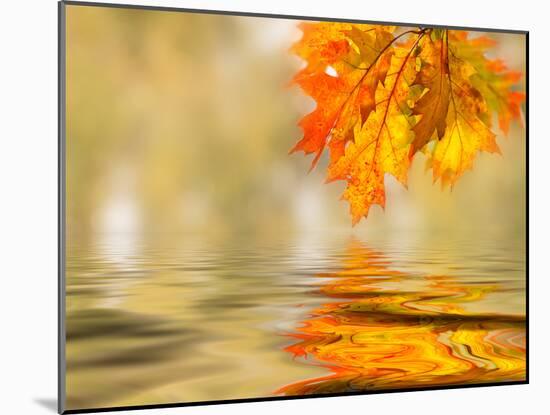 Bright Colored Leaves on the Branches in the Autumn Forest-Leonid Tit-Mounted Photographic Print