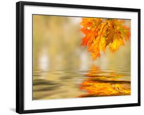 Bright Colored Leaves on the Branches in the Autumn Forest-Leonid Tit-Framed Photographic Print