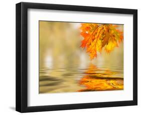 Bright Colored Leaves on the Branches in the Autumn Forest-Leonid Tit-Framed Photographic Print