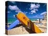 Bright Colored Surfboards on Waikiki Beach-George Oze-Stretched Canvas