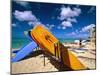 Bright Colored Surfboards on Waikiki Beach-George Oze-Mounted Premium Photographic Print