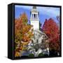 Bright Colors Adorn the Trees Near a Church-null-Framed Stretched Canvas