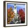 Bright Colors Adorn the Trees Near a Church-null-Framed Photographic Print