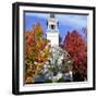 Bright Colors Adorn the Trees Near a Church-null-Framed Photographic Print