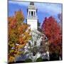 Bright Colors Adorn the Trees Near a Church-null-Mounted Photographic Print