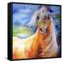 Bright Day Equine-Marcia Baldwin-Framed Stretched Canvas