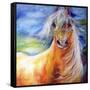 Bright Day Equine-Marcia Baldwin-Framed Stretched Canvas