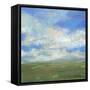 Bright Day I-Jennifer Goldberger-Framed Stretched Canvas