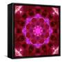 Bright Energetic Mandala Ornament from Flowers-Alaya Gadeh-Framed Stretched Canvas