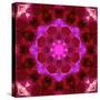 Bright Energetic Mandala Ornament from Flowers-Alaya Gadeh-Stretched Canvas