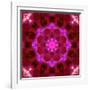 Bright Energetic Mandala Ornament from Flowers-Alaya Gadeh-Framed Photographic Print
