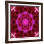 Bright Energetic Mandala Ornament from Flowers-Alaya Gadeh-Framed Photographic Print