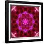 Bright Energetic Mandala Ornament from Flowers-Alaya Gadeh-Framed Photographic Print