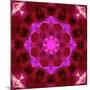 Bright Energetic Mandala Ornament from Flowers-Alaya Gadeh-Mounted Photographic Print