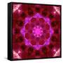 Bright Energetic Mandala Ornament from Flowers-Alaya Gadeh-Framed Stretched Canvas