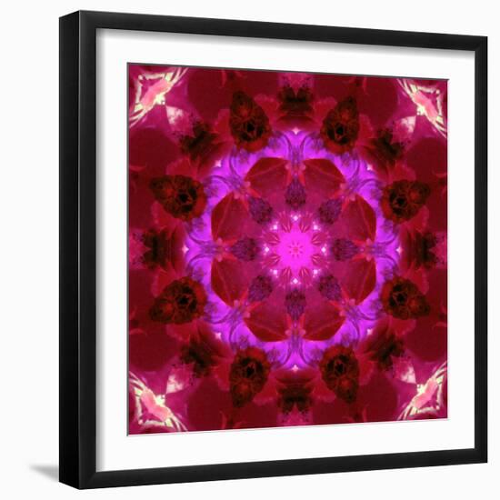 Bright Energetic Mandala Ornament from Flowers-Alaya Gadeh-Framed Photographic Print