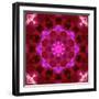 Bright Energetic Mandala Ornament from Flowers-Alaya Gadeh-Framed Photographic Print