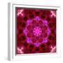 Bright Energetic Mandala Ornament from Flowers-Alaya Gadeh-Framed Photographic Print