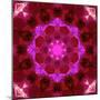 Bright Energetic Mandala Ornament from Flowers-Alaya Gadeh-Mounted Photographic Print