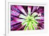 Bright Exotic I-Irena Orlov-Framed Photographic Print