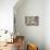 Bright Eyes-Carolee Vitaletti-Mounted Premium Giclee Print displayed on a wall