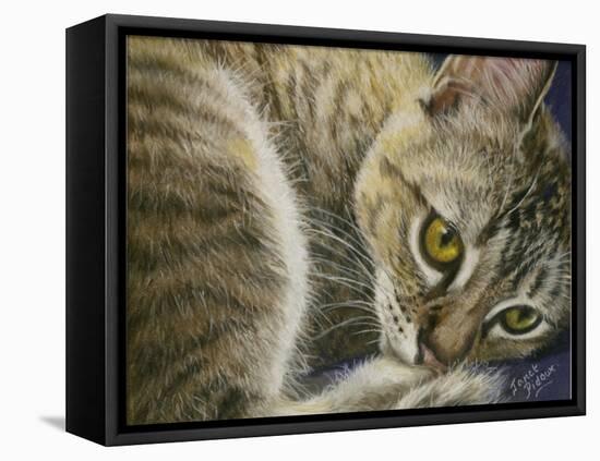 Bright Eyes-Janet Pidoux-Framed Stretched Canvas