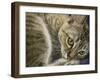 Bright Eyes-Janet Pidoux-Framed Premium Giclee Print