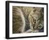 Bright Eyes-Janet Pidoux-Framed Premium Giclee Print