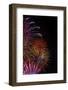 Bright Fireworks in the Sky on Black Background Vertical Image-mbolina-Framed Photographic Print