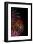 Bright Fireworks in the Sky on Black Background Vertical Image-mbolina-Framed Photographic Print