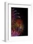 Bright Fireworks in the Sky on Black Background Vertical Image-mbolina-Framed Photographic Print