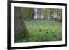 Bright Fresh Colorful Spring Bluebell Wood-Veneratio-Framed Photographic Print