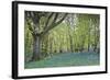 Bright Fresh Colorful Spring Bluebell Wood-Veneratio-Framed Photographic Print
