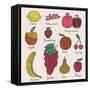 Bright Fruit and Berries Set in Vector. Lemon, Redcurrant, Apple, Strawberry, Banana, Grape, Pomegr-smilewithjul-Framed Stretched Canvas