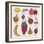 Bright Fruit and Berries Set in Vector. Lemon, Redcurrant, Apple, Strawberry, Banana, Grape, Pomegr-smilewithjul-Framed Art Print