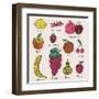 Bright Fruit and Berries Set in Vector. Lemon, Redcurrant, Apple, Strawberry, Banana, Grape, Pomegr-smilewithjul-Framed Art Print