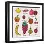 Bright Fruit and Berries Set in Vector. Lemon, Redcurrant, Apple, Strawberry, Banana, Grape, Pomegr-smilewithjul-Framed Art Print