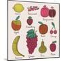 Bright Fruit and Berries Set in Vector. Lemon, Redcurrant, Apple, Strawberry, Banana, Grape, Pomegr-smilewithjul-Mounted Art Print