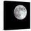 Bright Full Moon in a Black Night Sky-Janis Miglavs-Stretched Canvas