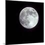 Bright Full Moon in a Black Night Sky-Janis Miglavs-Mounted Photographic Print